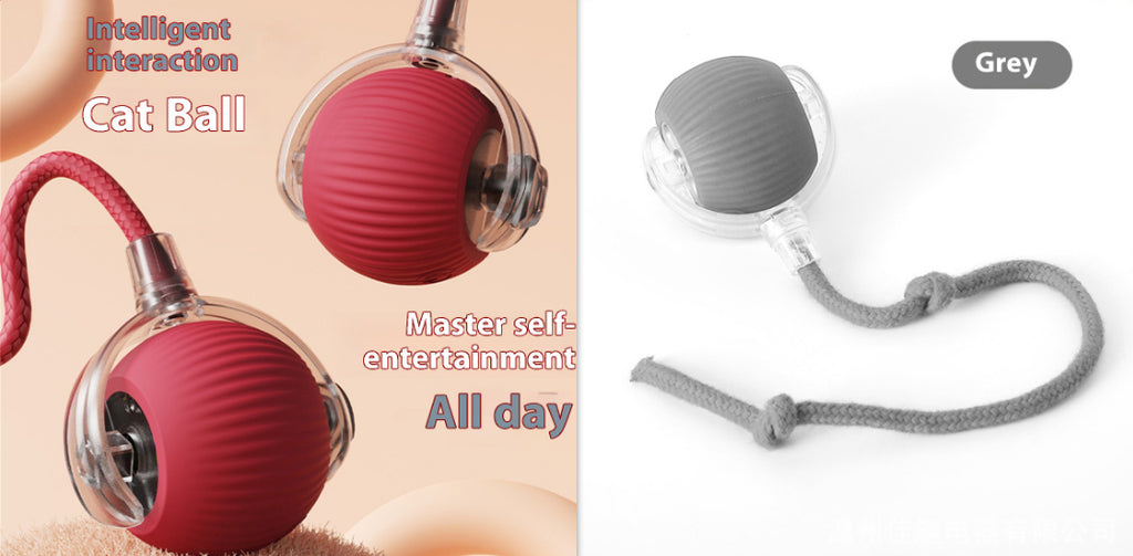Automatic cat toy ball electric rolling design