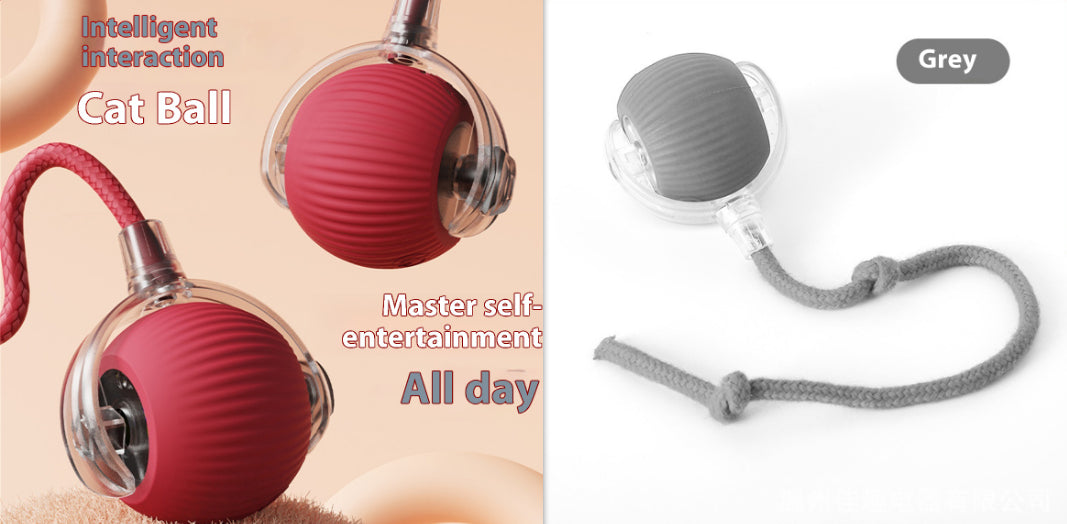 Automatic cat toy ball electric rolling design