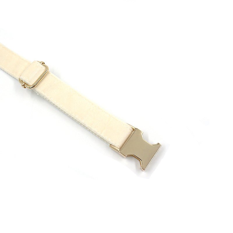 1. Cream dog collar with tufted texture and gold-tone buckle  2. Cream dog collar displayed flat to show its overall design  3. Cream dog collar close-up showing the gold-tone buckle detail  4. Cream dog collar showing the tufted surface texture  5. Cream dog collar worn by a dog during an outdoor walk  6. Cream dog collar displayed alongside coordinating pet accessories