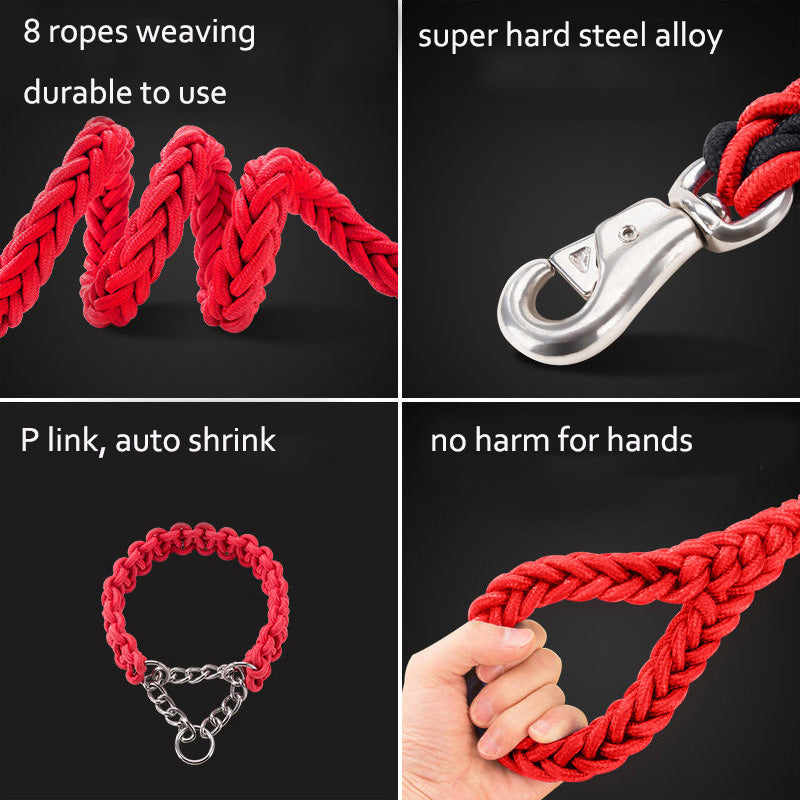 Nylon braided dog leash displayed as a pet walking accessory