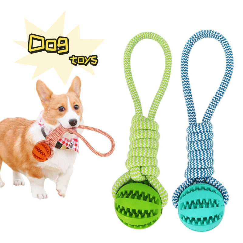 Interactive dog treat ball with rubber-style design