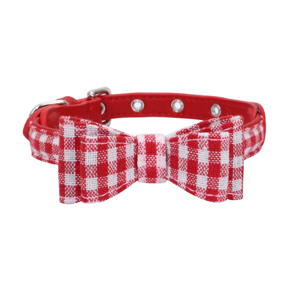 Pet collar displayed as an everyday pet accessory