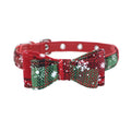 Pet collar displayed as an everyday pet accessory