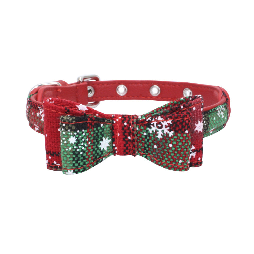 Pet collar displayed as an everyday pet accessory