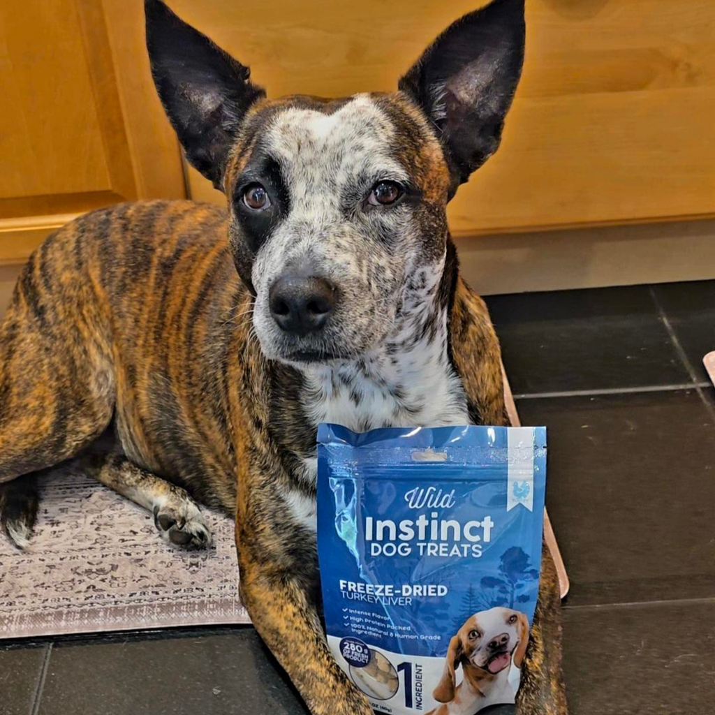 Big Paw freeze-dried turkey liver dog treats