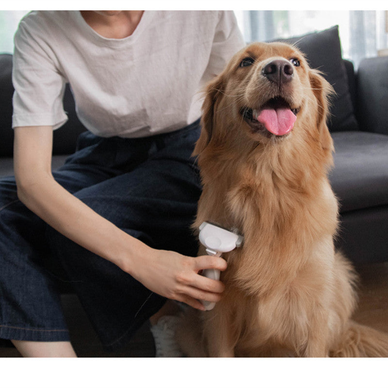 Pet grooming tool displayed for everyday dog and cat coat care