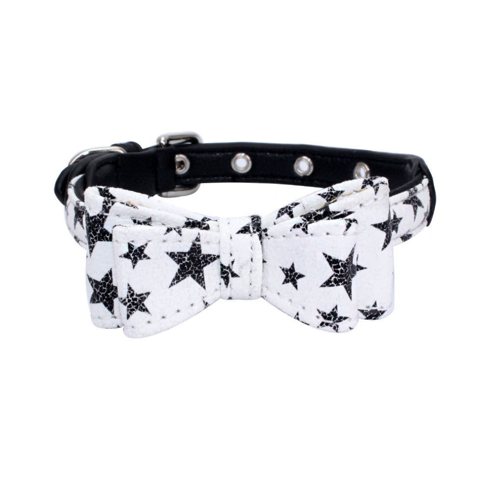 Pet collar displayed as an everyday pet accessory