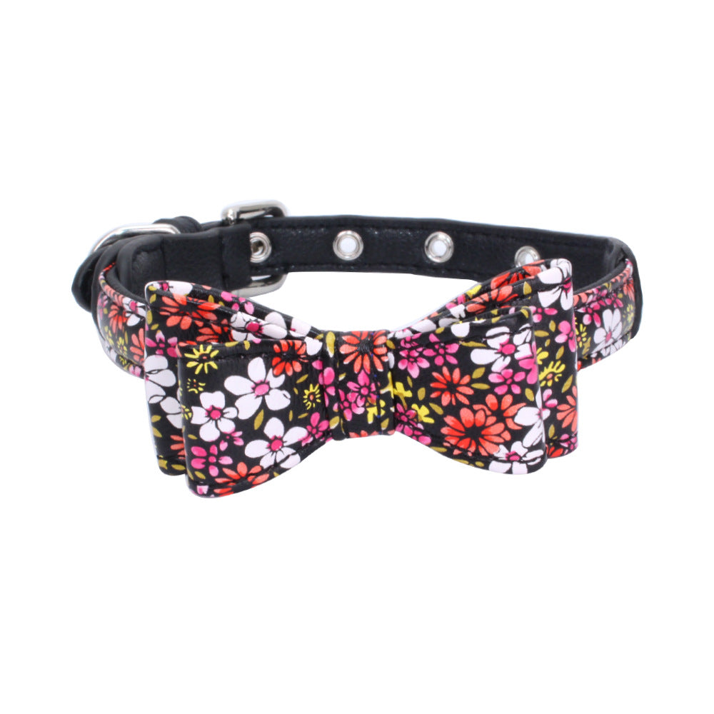 Pet collar displayed as an everyday pet accessory