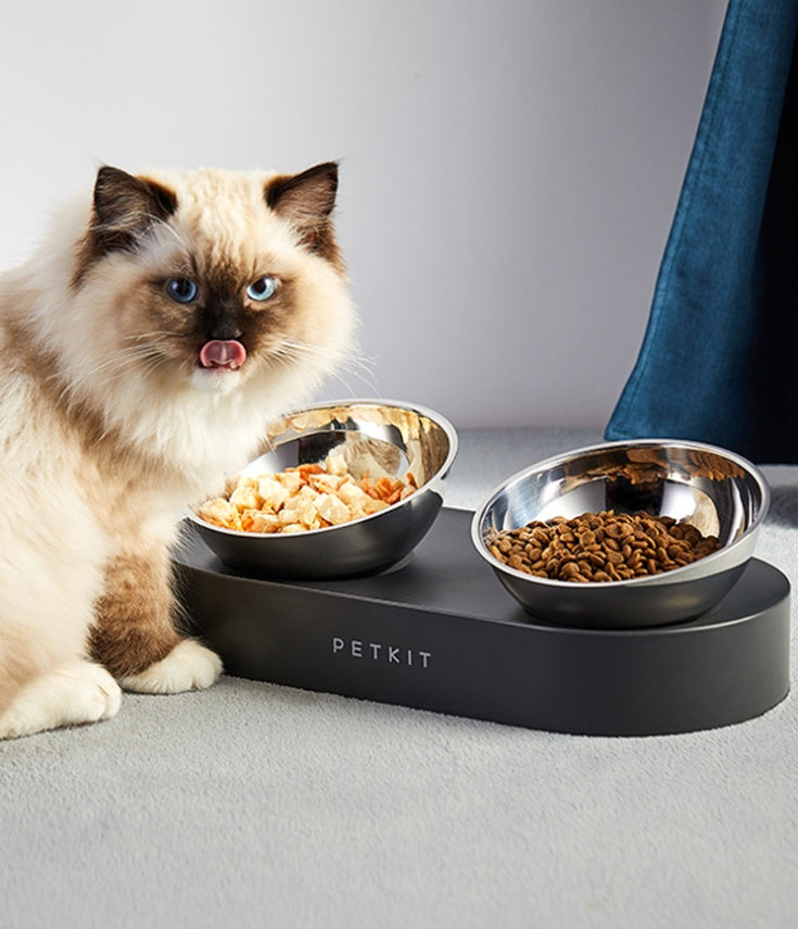 Stainless steel double pet bowl with two feeding dishes