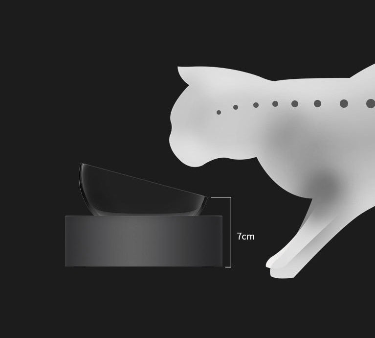 Stainless steel double pet bowl with two feeding dishes