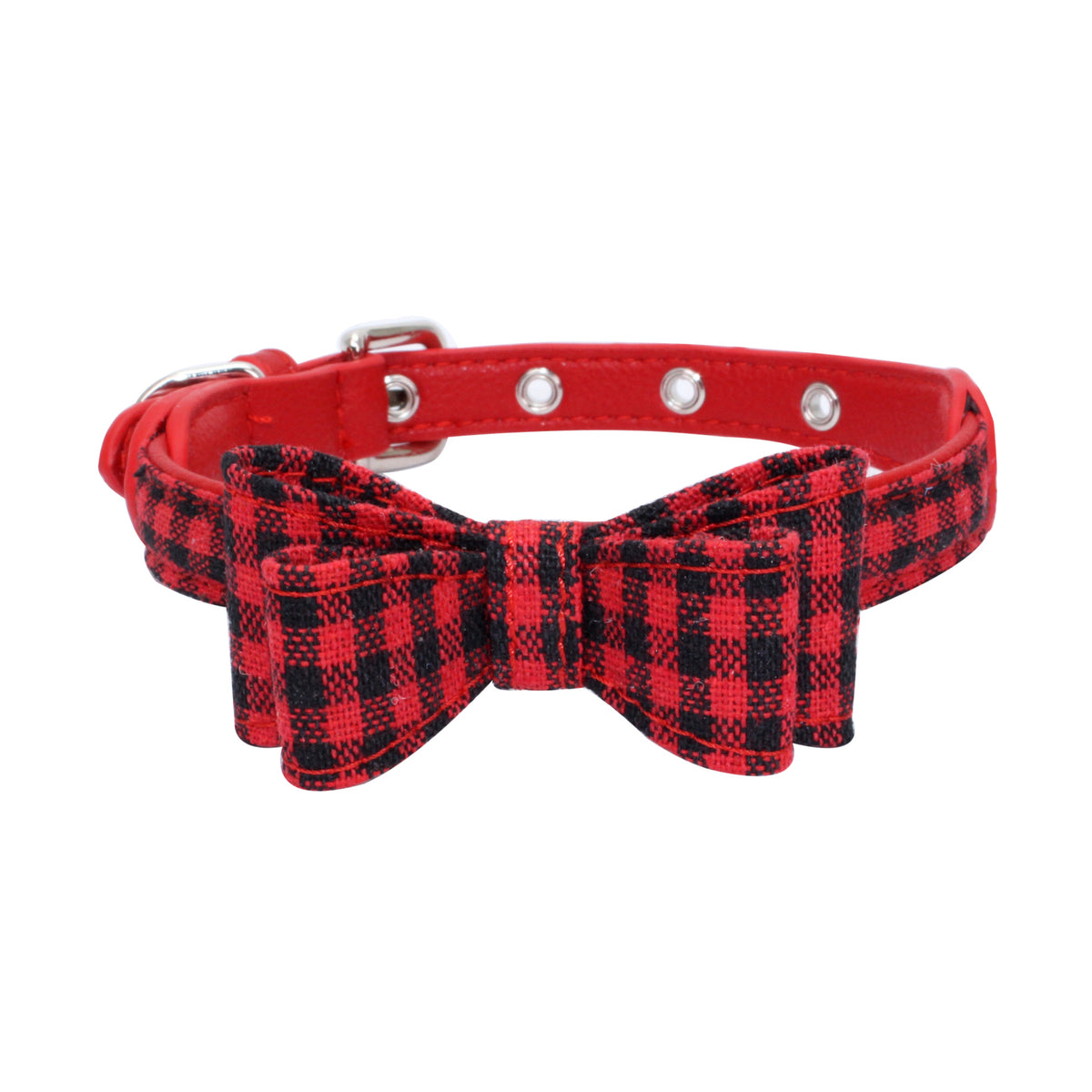 Pet collar displayed as an everyday pet accessory