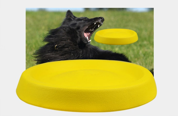 Plastic dog fetch toy displayed against a plain background