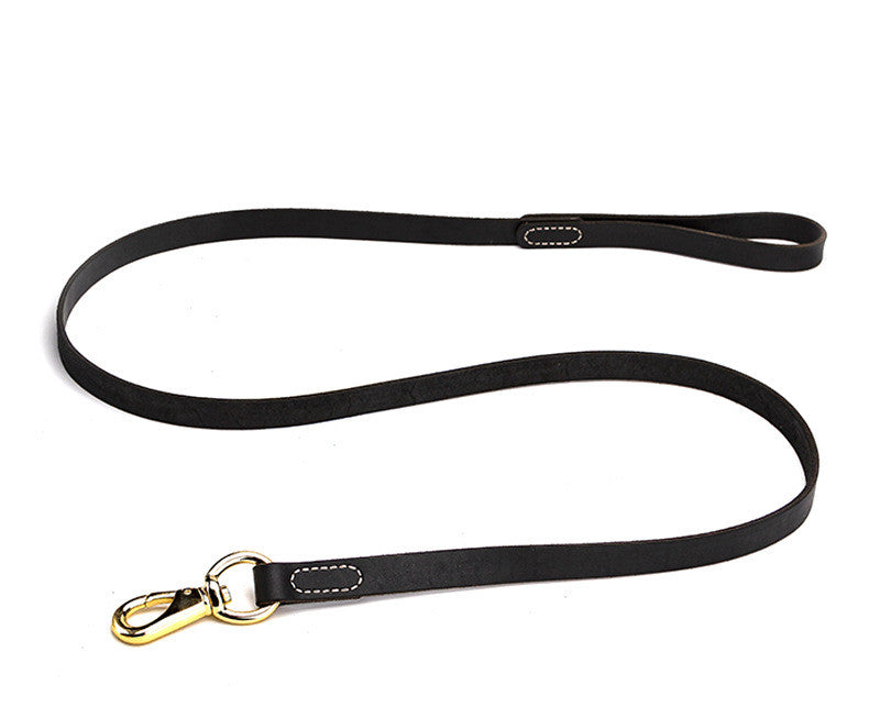 Cowhide dog leash displayed as a pet walking accessory