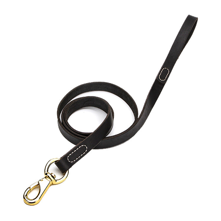 Cowhide dog leash displayed as a pet walking accessory