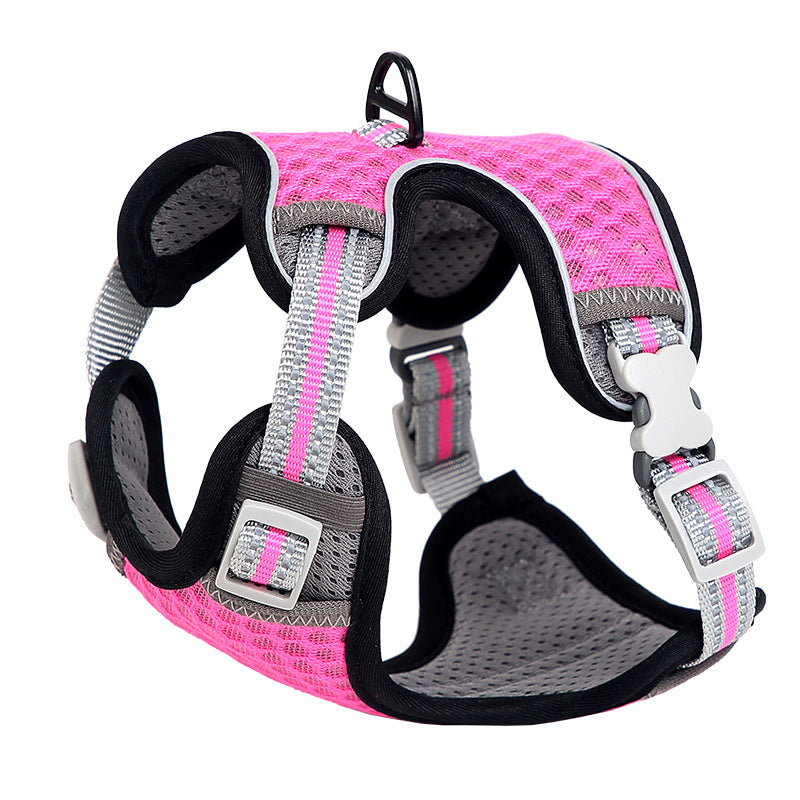 Cat walking harness with chest strap displayed for outdoor use