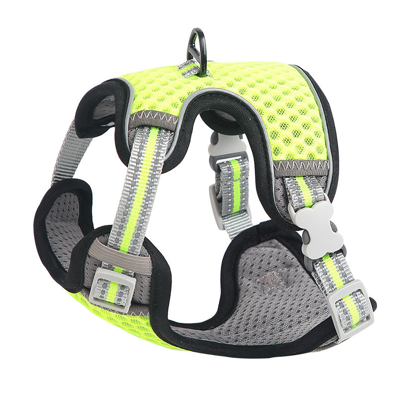 Cat walking harness with chest strap displayed for outdoor use