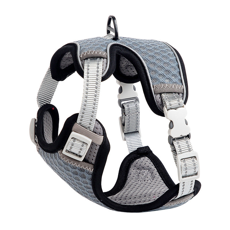 Cat walking harness with chest strap displayed for outdoor use