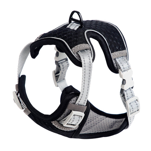 Cat walking harness with chest strap displayed for outdoor use