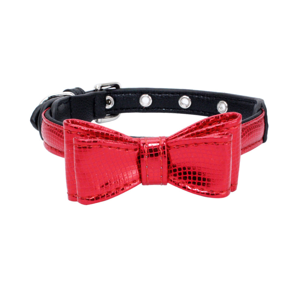 Pet collar displayed as an everyday pet accessory