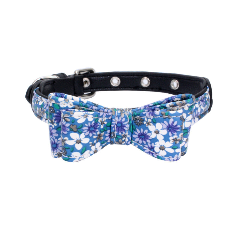 Pet collar displayed as an everyday pet accessory