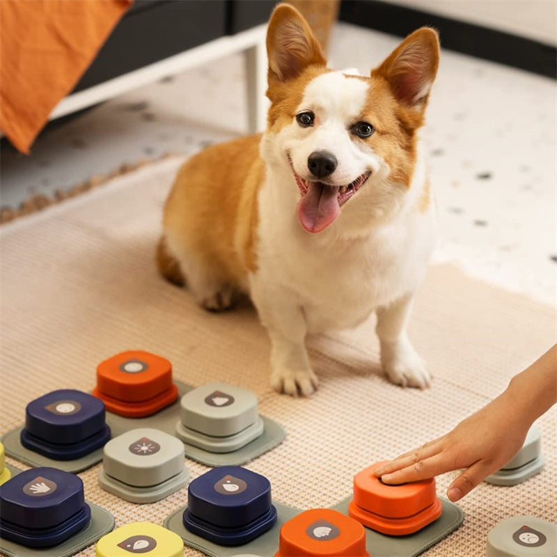 Pet communication button in one of four available colours
