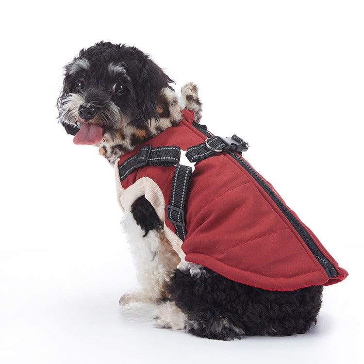 Winter dog jacket showing the overall design