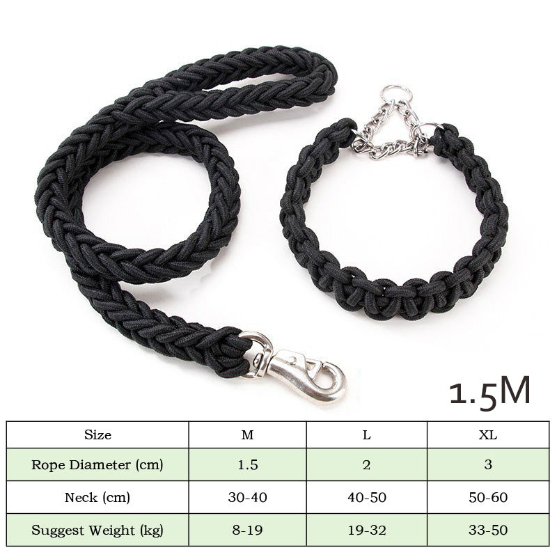 Nylon braided dog leash displayed as a pet walking accessory