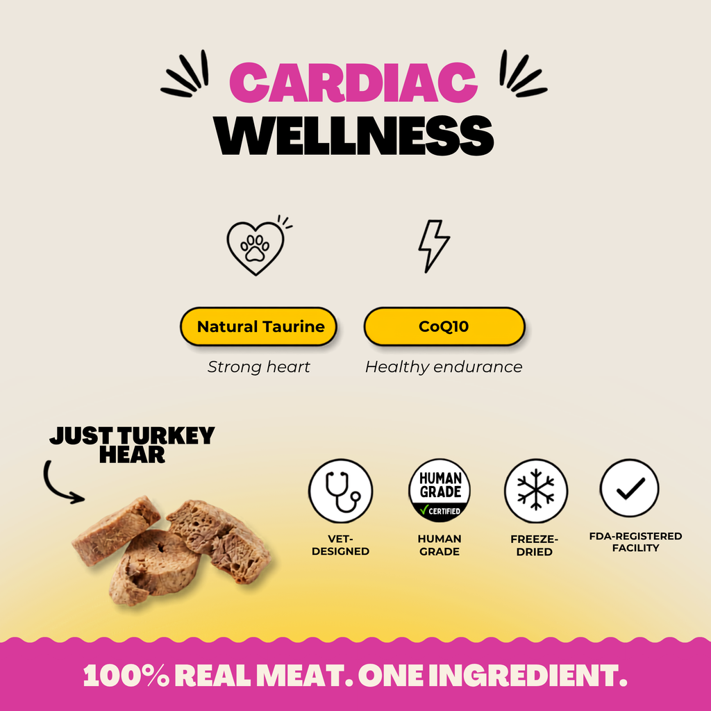 Freeze-Dried Turkey Hearts for Cats in product packaging