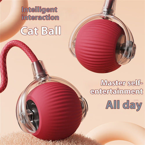 Automatic cat toy ball electric rolling design