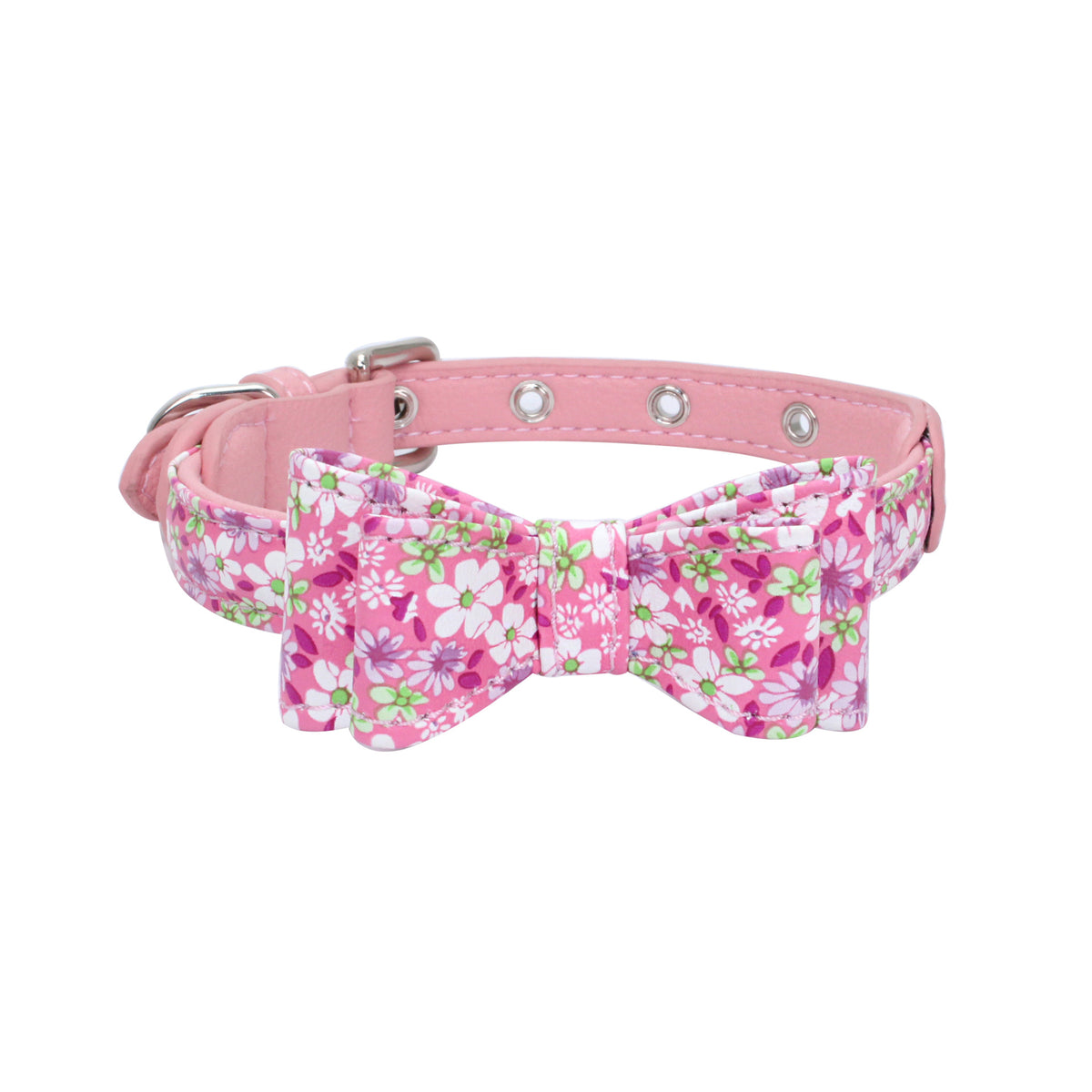 Pet collar displayed as an everyday pet accessory