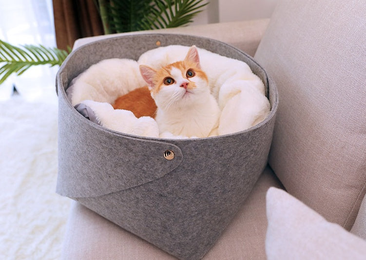 Pet bed for dogs and cats by Big Paw