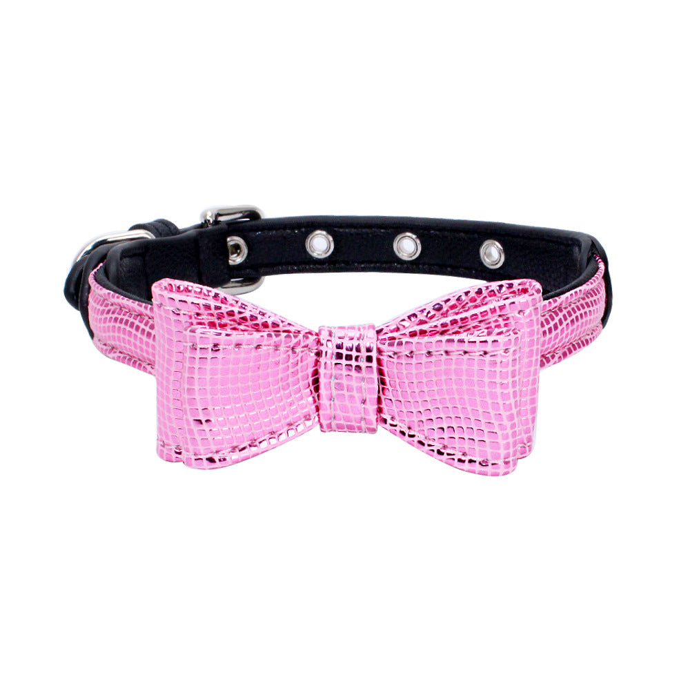 Pet collar displayed as an everyday pet accessory
