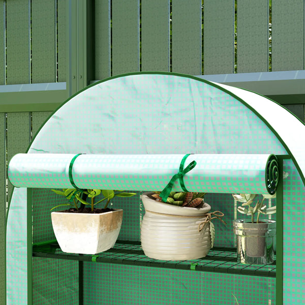 Walk-in greenhouse set up outdoors for growing potted plants