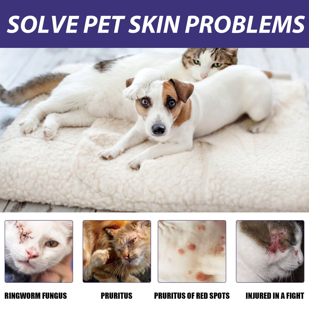 Pet Skin Care Spray Skin Care Spray for Cats and Dogs| Big Paw