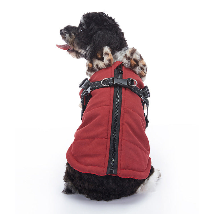 Winter dog jacket showing the overall design