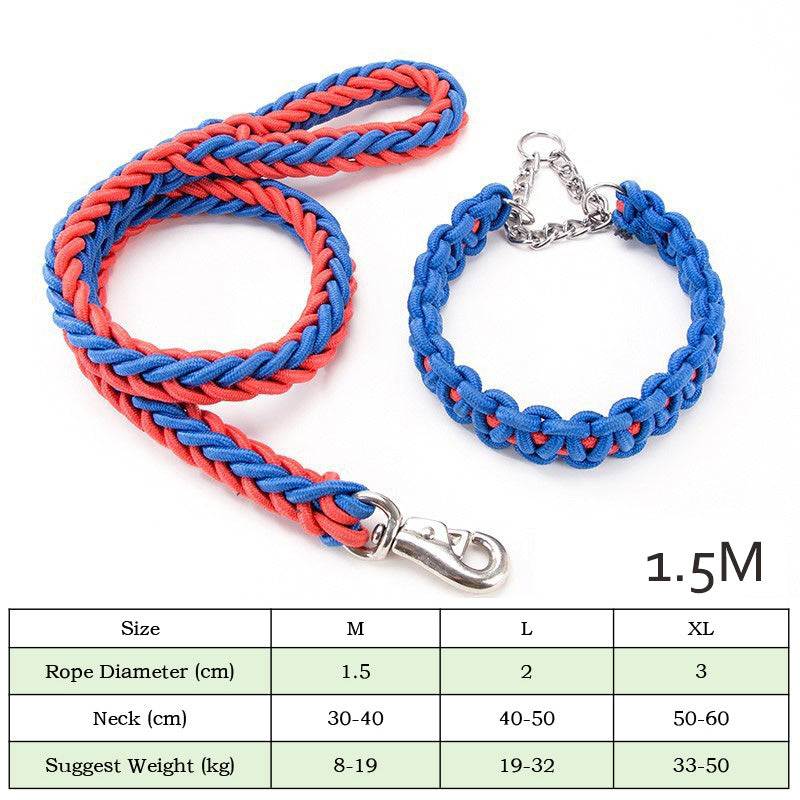 Nylon braided dog leash displayed as a pet walking accessory
