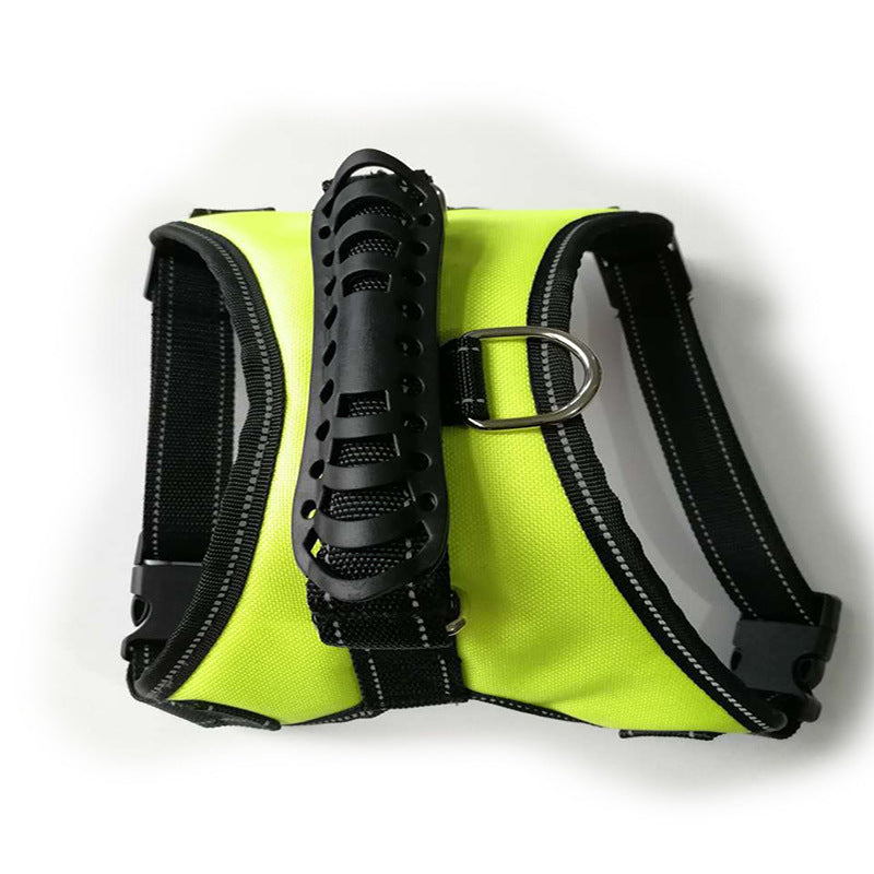 Dog leash displayed as an everyday pet walking accessory