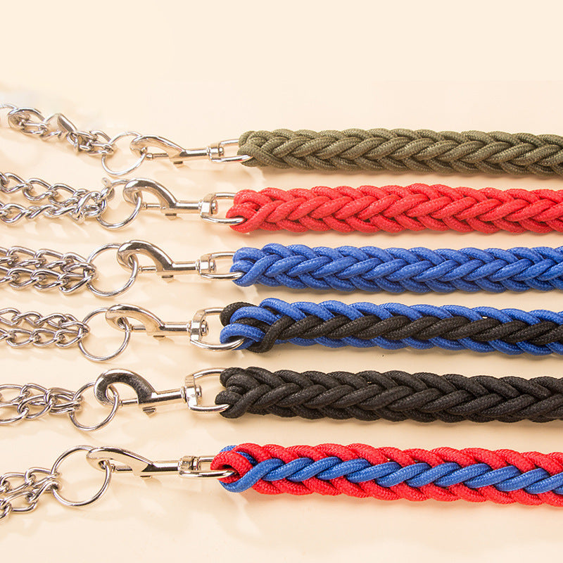 Nylon braided dog leash displayed as a pet walking accessory