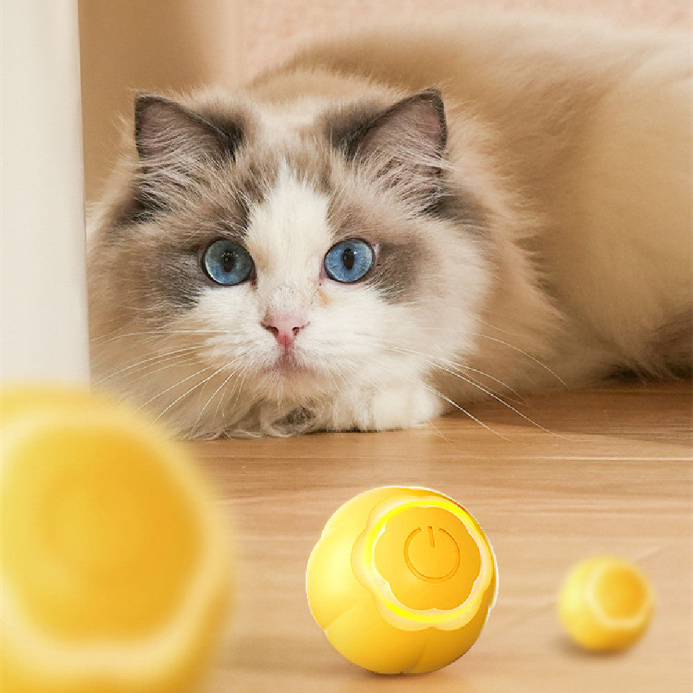 Interactive rolling cat ball smart pet toy
