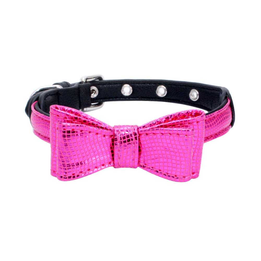 Pet collar displayed as an everyday pet accessory