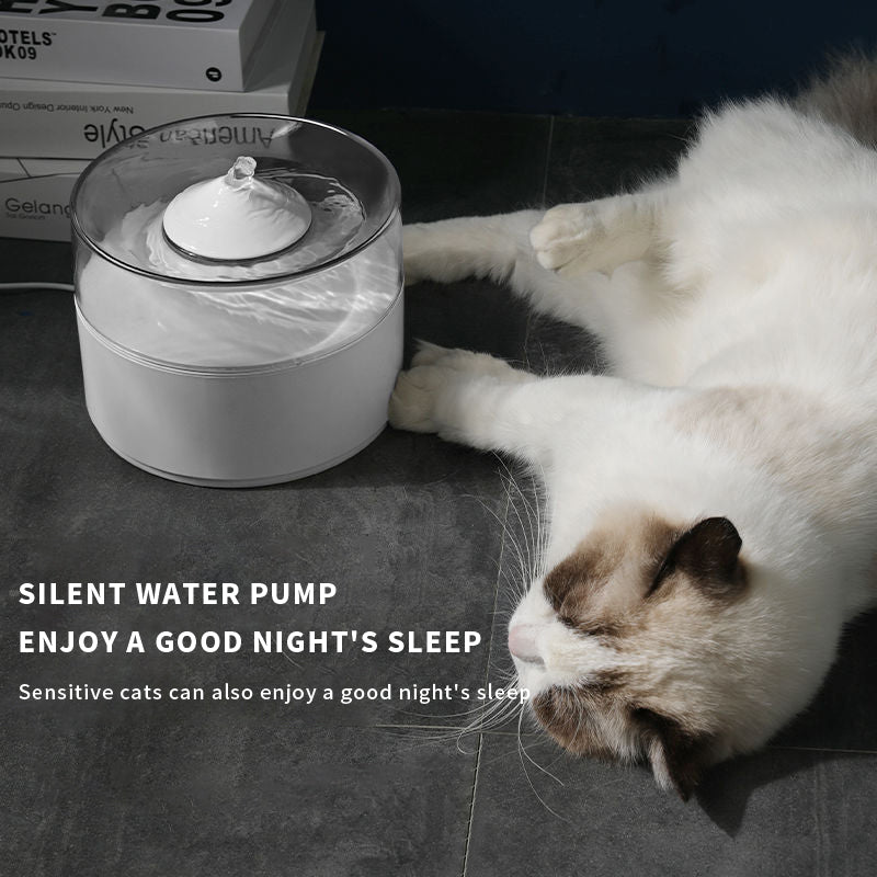 Cat water dispenser for everyday drinking water at home