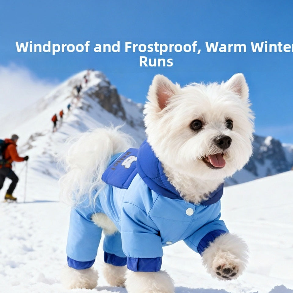 Winter dog down jacket full-body design