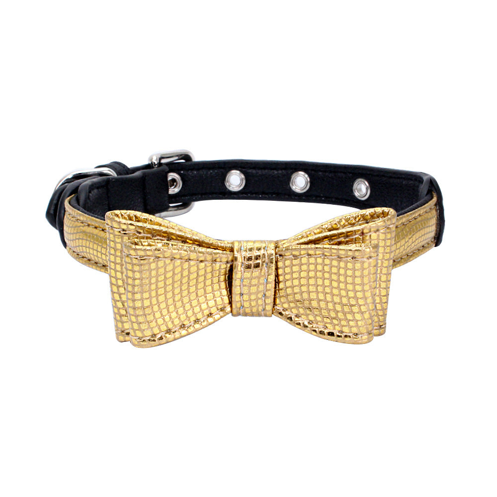 Pet collar displayed as an everyday pet accessory