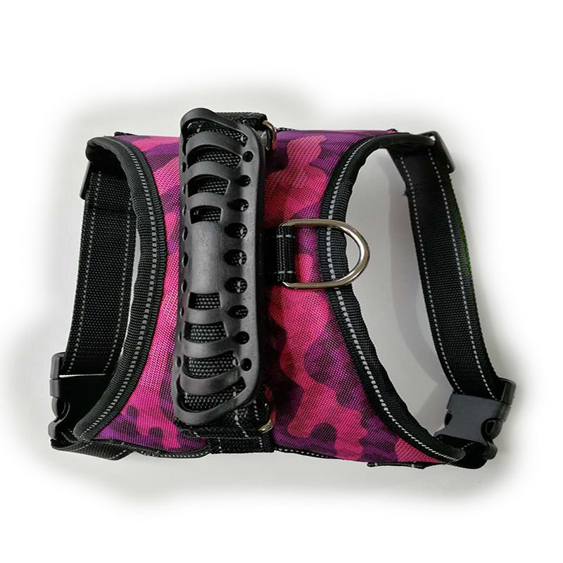 Dog leash displayed as an everyday pet walking accessory