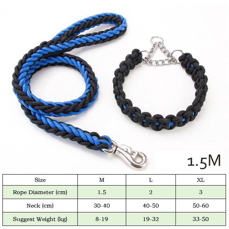 Nylon braided dog leash displayed as a pet walking accessory