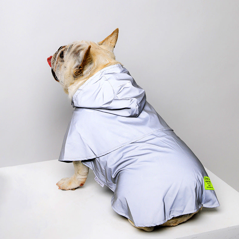 Reflective dog raincoat shown on a dog during an outdoor walk