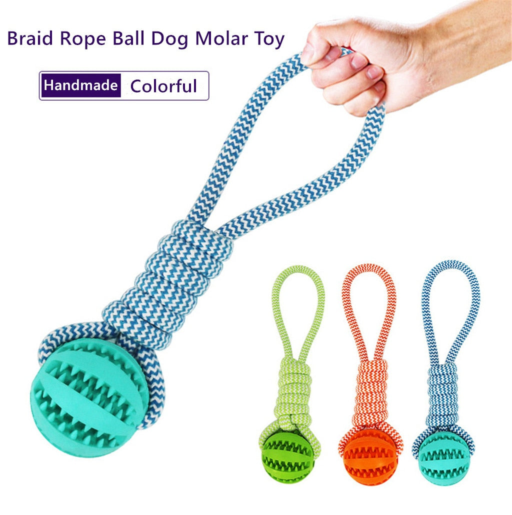 Interactive dog treat ball with rubber-style design
