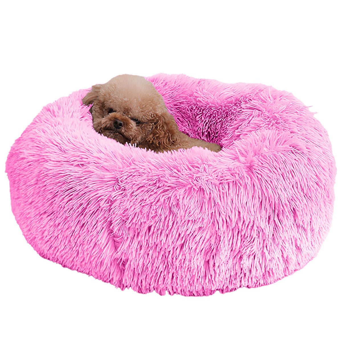 Cat sofa bed with a sofa-style design for indoor cats