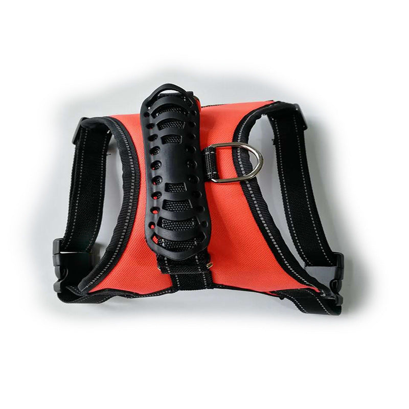 Dog leash displayed as an everyday pet walking accessory