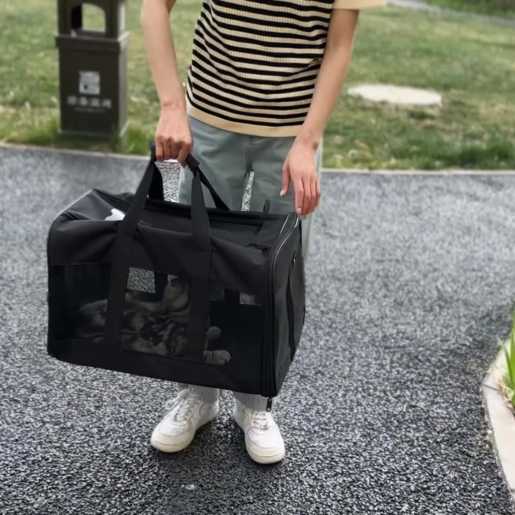 Portable pet carrier bag shown in its unfolded carrying shape